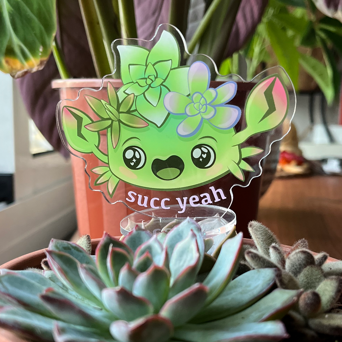 Succ Yeah Succulent Crab Standee