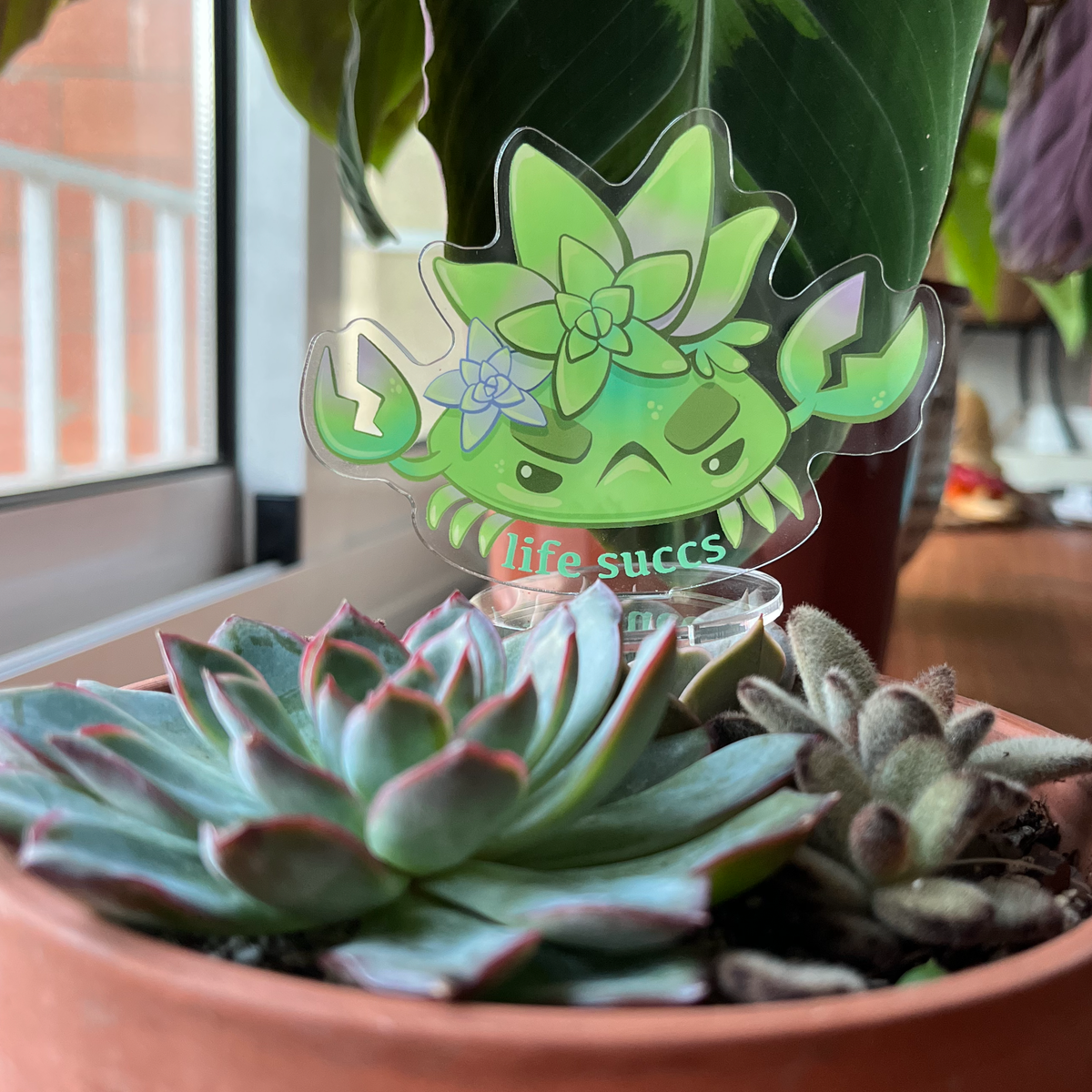 Life Succs Succulent Crab Standee