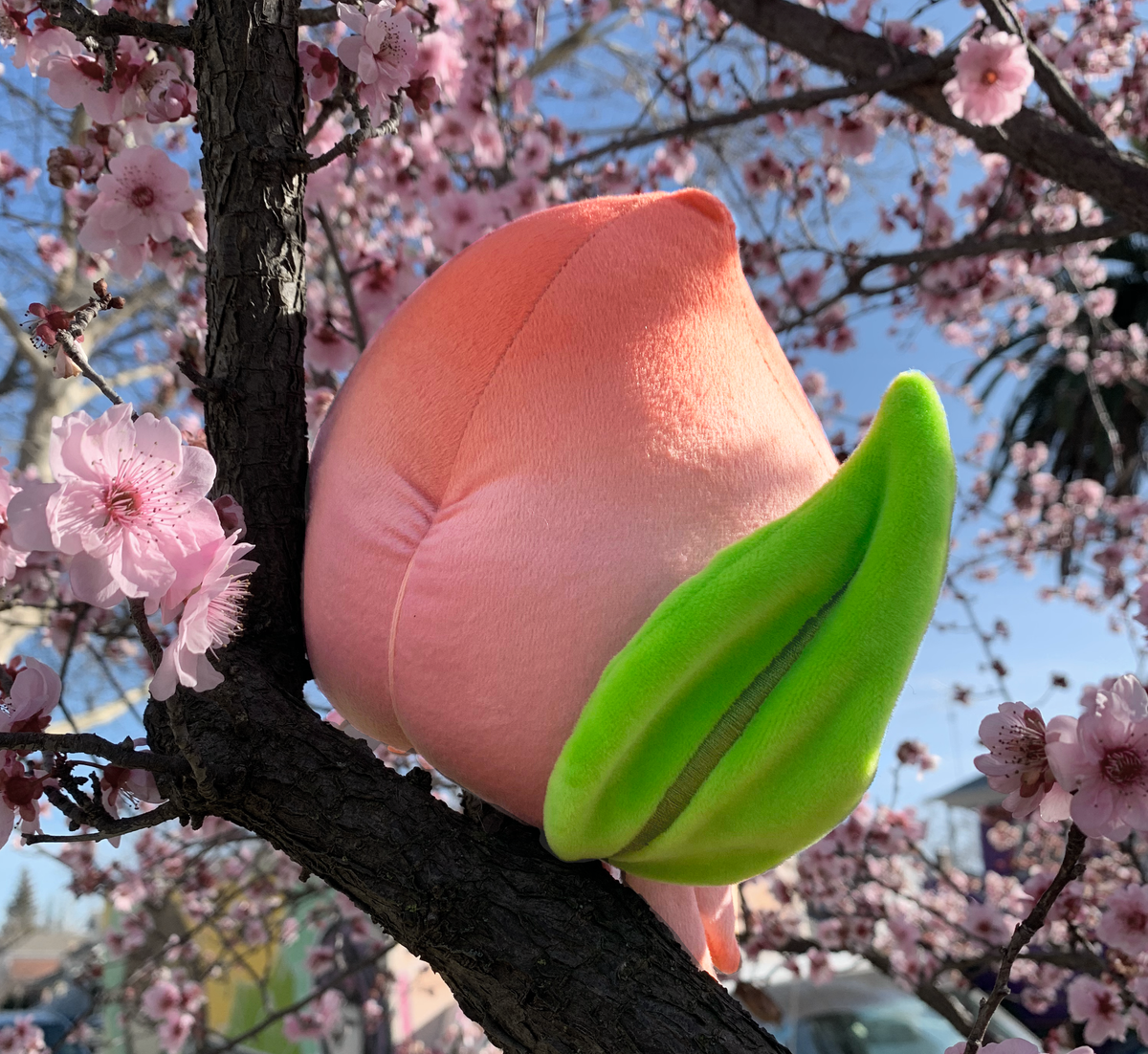 Peach Crab Designer Plush Toy